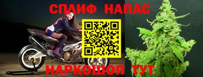 тгк Лесосибирск