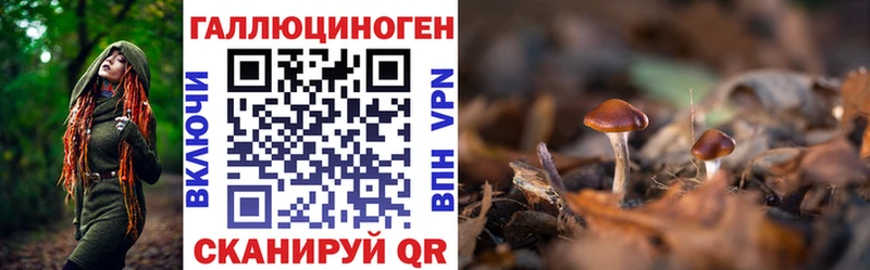 Галлюциногенные грибы Psilocybe  дарк нет как зайти  Зеленогорск  omg зеркало 