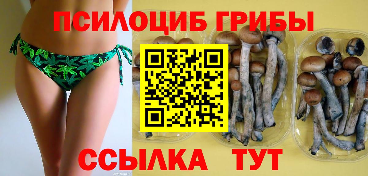 Псилоцибиновые грибы Psilocybine cubensis  Галлюциногенные грибы ЛСД  Зеленогорск  Вход с VPN 